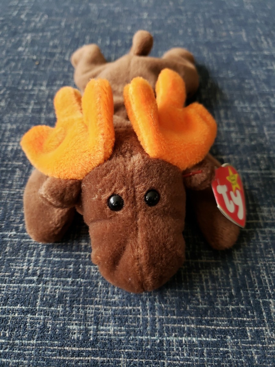 Ty Beanie Baby Chocolate The Moose April 27 1993 Mint Tag Attached