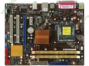 asus p5qpl-am drivers