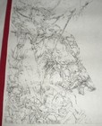 Bild 6 von 6