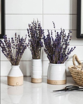 Lavender Vase Set-with a dried floral arrangement for a perfect enduring gift.