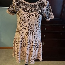 Free People Beautiful Dreamer Blush Pink Lace Mini Swing Dress Sz XS A735