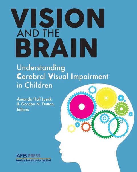 Amanda Hall Lueck (U. A.) | Vision And The Brain | Taschenbuch | Englisch (2015)-image