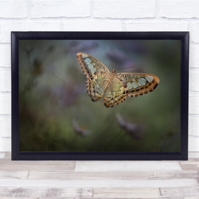 Landung 2 Schmetterling Insekten Flügel Makro Flug Fliege Bokeh Blumen Wandkunstdruck