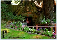 Postcard - Redwoods, California