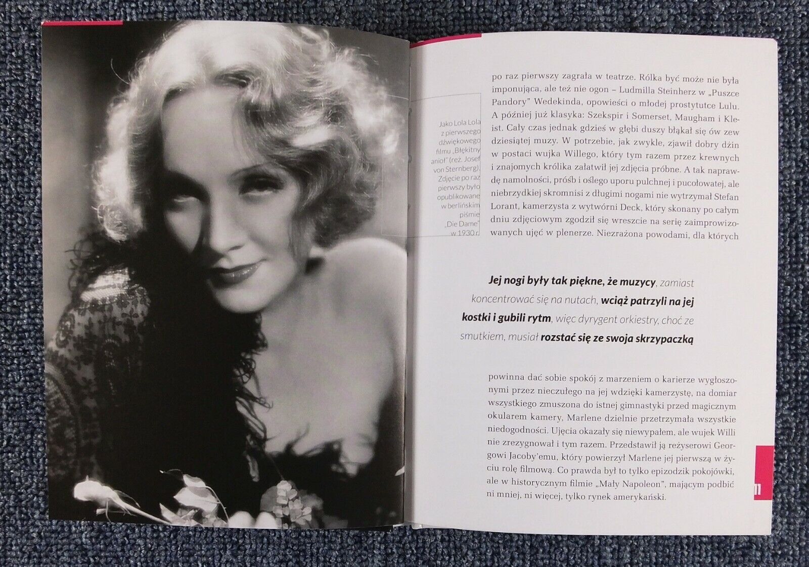 MARLENE DIETRICH Falling In Love Again book Poland 2015 by Andrzej