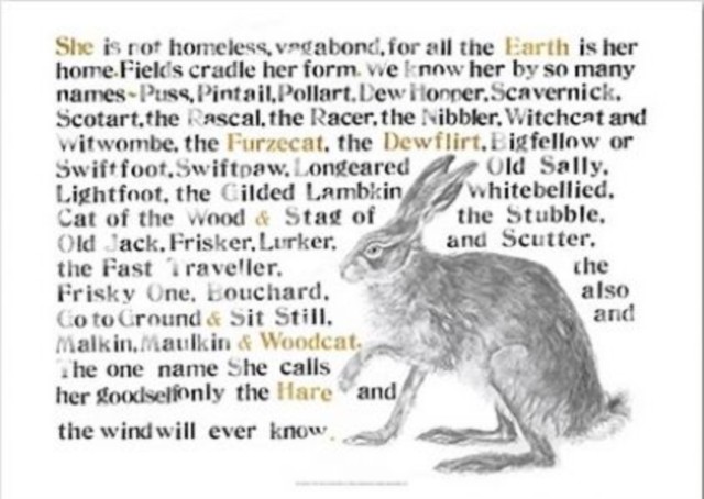 Jackie Morris Poster: Names of the Hare, The by Jackie Morris (Poster)