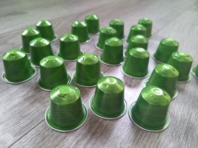 20 Nespresso Kaffee-Kapseln (grün mit Farn / Rio de Janeiro Espresso), leer