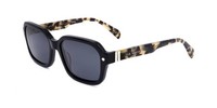 Ted Baker TB1697 Black 55/19/140 Herren Sonnenbrillen
