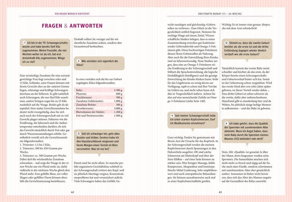 Thumbnail - Schwangerschaft Und Geburt | Thomas Villinger, Birgit