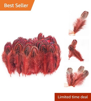 Vibrant Red Pheasant Plumage Feathers - 50 Pcs, 2-3 Inch for Crafting Elegance