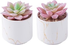 zenmag Succulents Plants Artificial, Mini Fake Succulents in White Ceramic Po...