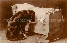 Hunde Hund vor Kinderbettchen