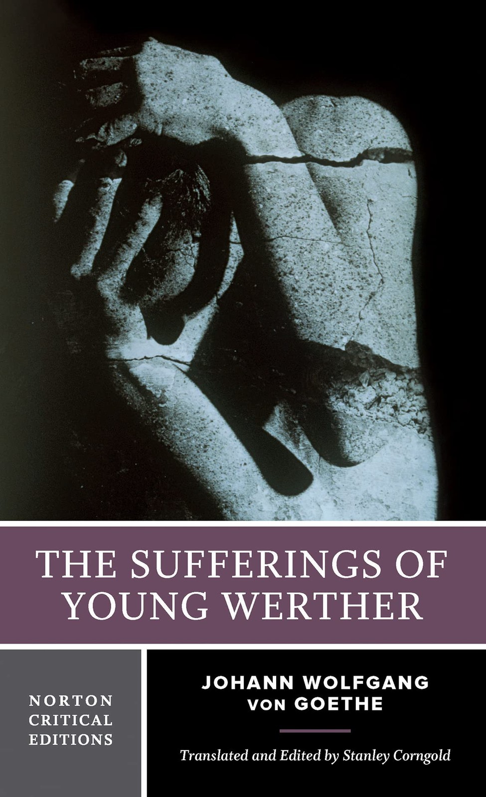 The Sufferings of Young Werther – A Norton Critical Edition - Image 5