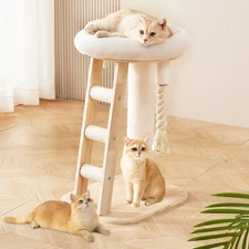 Modern Cat Tree Small Tower with Scratching Post for Indoor, Multifunctional ...