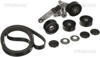Keilrippenriemensatz Triscan 8642 29019 FüR Q5 A4 Audi A6 A5 C6 B8 VW Phaeton