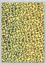 1999-00 Fleer Mystique /2500 Kobe Bryant #141 HOF