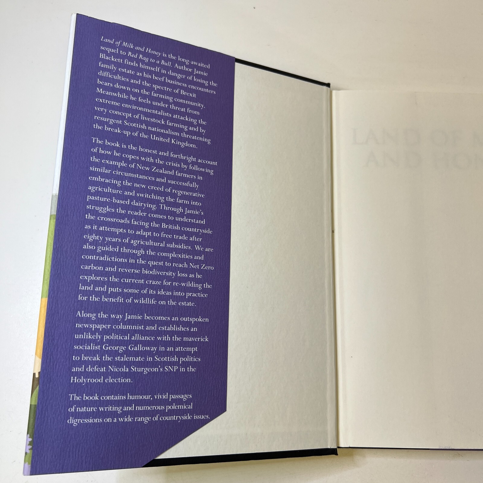 Land Of Milk And Honey by Blackett, Jamie