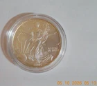 2005 American Silver Eagle, .999 Silver, US Mint, Uncirulated, No Mint Mark