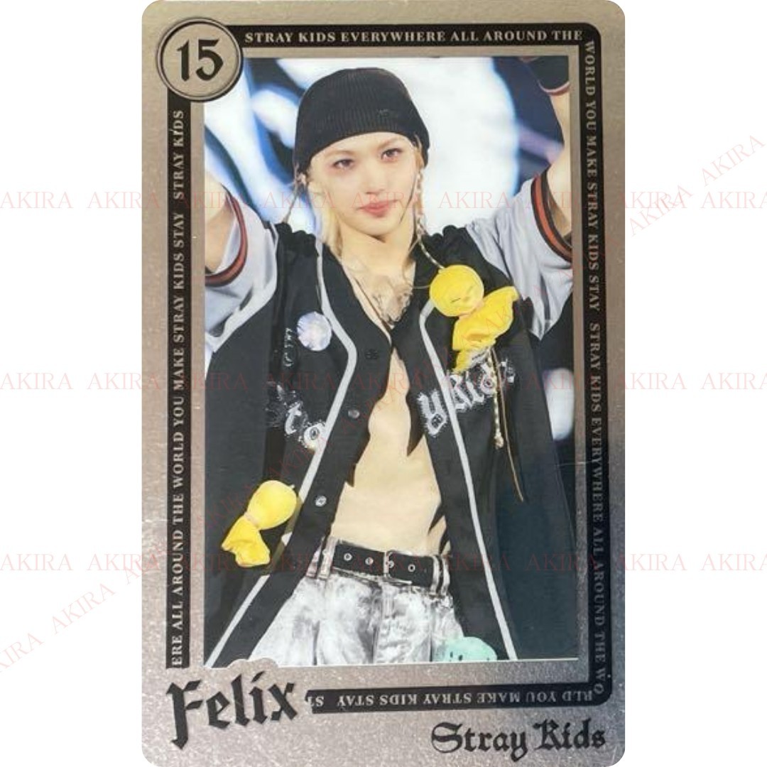 STRAY KIDS World Tour dominATE JAPAN ECOPA RANDOM LIVE PHOTO CARD