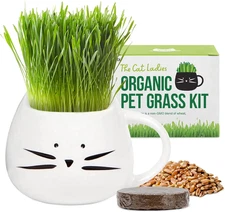 Organic Cat Grass - Growing Kit with Organic Seed Mix, Soil and White Cat Plante