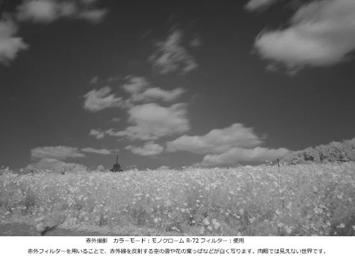 Kenko 77mm Pro1D R72 Digital Multi Coated Camera Lens Filters Japan - Image 3 of 4