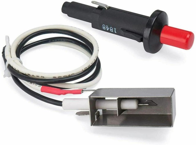 tool to dig dandelions