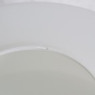 Foto 9 di 12