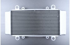 Radiatore Acqua Tipo Originale per KAWASAKI NINJA 300R 300 R EX300A 2013-2016