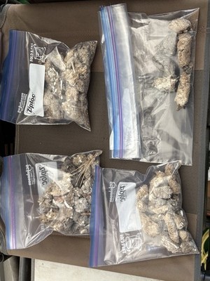 100 plus Great Horned Owl Pellets