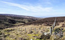Photo 6x4 Fences above Butt of Blackburn Midgeholme Butt of Blackburn is  c2022
