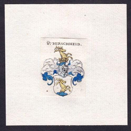 Hirscheid Wappen coat of arms blason Heraldik heraldry Kupferstich 17. Jh. - Bild 1 von 1