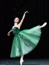 Children Ballet Skirt Performance Dress Green Velet Long Ballet Dress Leotards