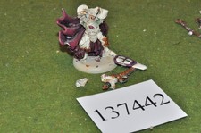 fantasy / warmachine - menoth High Paladin Dartan Vilmon - (137442)