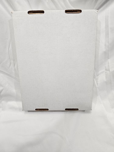 Bethesda RAGE Mitarbeiter Launch Kit (PS3/XBOX 360) - sehr seltener Werbeartikel - Bild 3 von 19