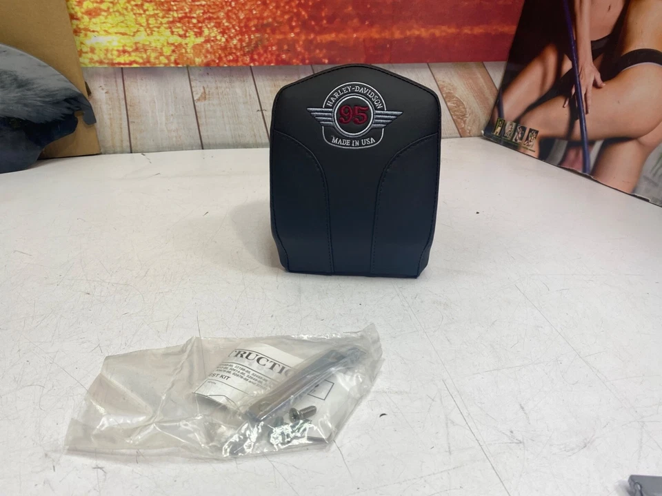 Новый комплект подушек спинки для Harley-Davidson 95th Anniversary от оригинального производителя 52875-98 - Изображение 2 из 4