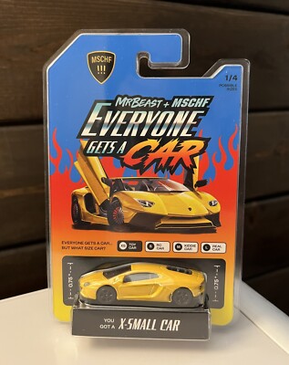 Everyone Gets a Car MSCHF Mr. Beast X-Small Toy Car Lamborghini Collectible NEW