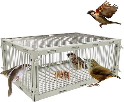 Bird Trap Cage with Escape-Proof, Bird Traps for Small Birds Live, Sparrow Trap