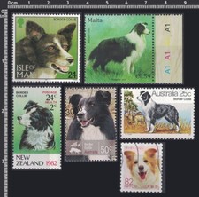 [borc] Frame it - Dog Breed BORDER COLLIE - 6 Different Stamps - Very Fine