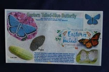 Eastern-Tailed Blue Butterfly 68c Stamp Combo FDC Bullfrog Sc#5136 11788 W/3551k