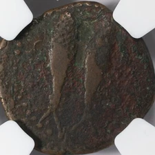 Spain, Gades AE25 Greek Bronze Tunny Coin 3rd Century BC - NGC VG