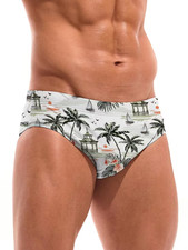 Cartoon 3D Print Swim Men's Briefs  Women's Briefs