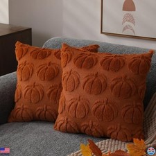 DFXSZ Fall Pillow Covers 18x18 Set of 2 Fall Decorations Autumn Rust Pumpkin