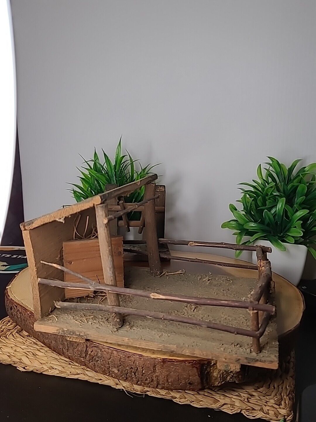 Picture 5 of 19