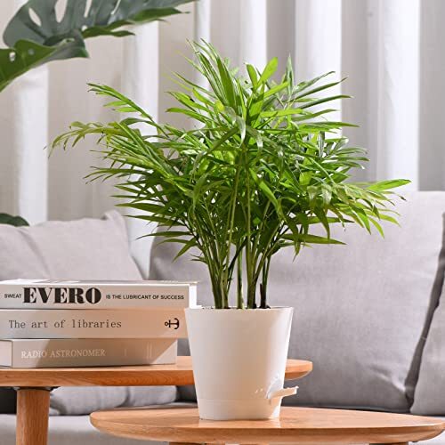 5 Pack 7 Inch SelfWatering Planters Flower Plant Pots for Indoor House