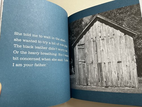 FIFTY SHEDS DAMPER FIFTY SHADES PARODY HARDBACK BOOK - Picture 9 of 13