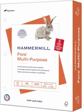 Printer Paper, Fore Multipurpose 20 Lb Copy Paper, 3 Hole - 1 Ream (500 Sheets) 
