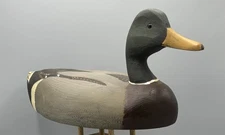MALLARD DRAKE BY (SIGNED) TOM HUMBERSTONE ***UPSTATE NY*** - EXCELLENT CONDITION