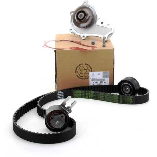 Frankberg Kit Chaîne De Distribution Complet Compatible Avec Berlingo C3 C4 C5 307 308 1.6L 2002-Aujourd'hui