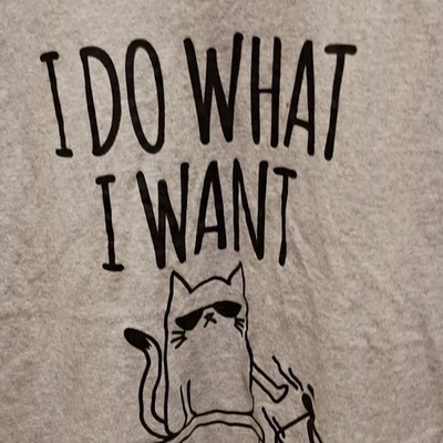 DOM Men's Gray Cotton Crew Neck L Cat Graphic Funny Short Sleeve T-Shirt