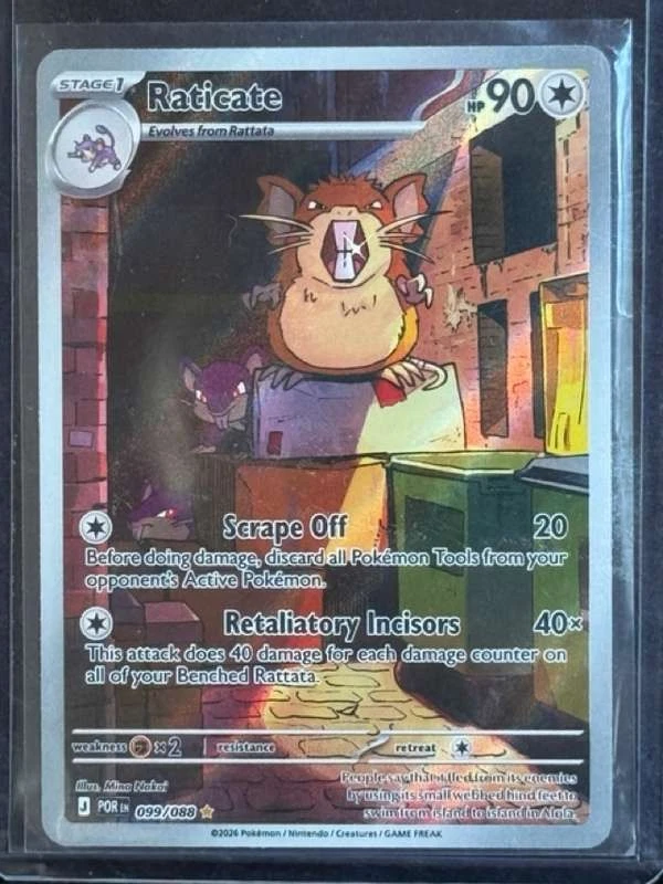 Raticate Pokémon TCG Cards for sale | eBay